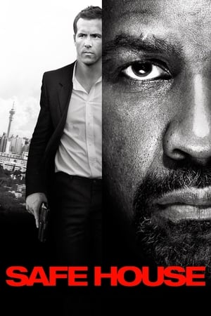 Safe House 2012 100mb Hindi Dual Audio movie Download HD Poster Download - filmyfly