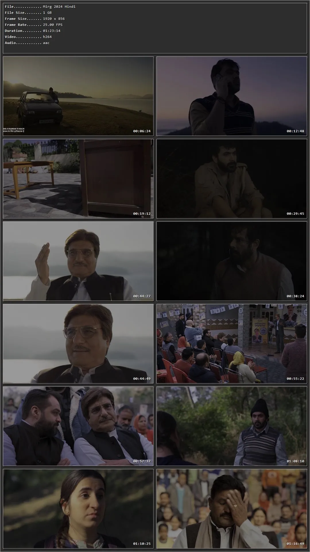 Movie Screenshot
