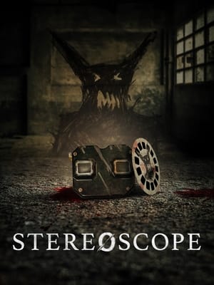 Stereoscope (2024) Hindi (MULTI AUDIO) – – HD Poster Download - filmyfly