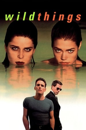Wild Things (1998) 100mb Hindi Dual Audio Download HD Poster Download - filmyfly